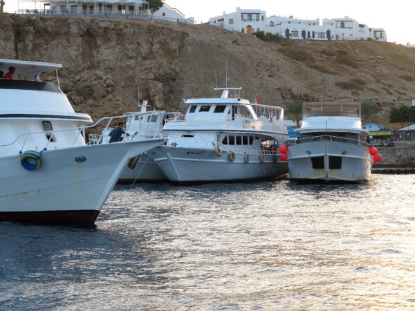 Sharm El Sheikh December 2021